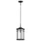 Nuvo Raiden Outdoor Hanging Lantern 1 Light Matte Black 60/5759 - alternate 7